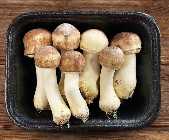 黑松茸菇食譜 黑松茸菇食譜