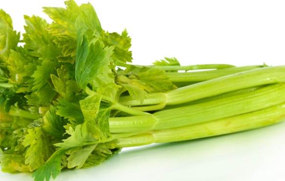 西芹寒性 西芹寒性