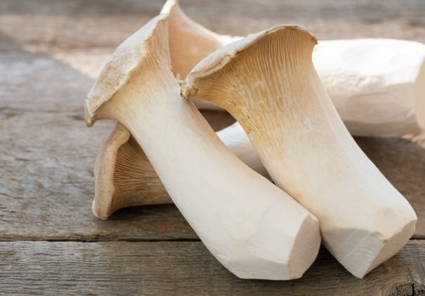 杏鮑菇副作用 杏鮑菇副作用