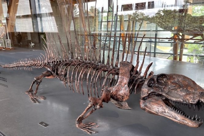 文化資產園區恐龍展覽 文化資產園區恐龍展覽