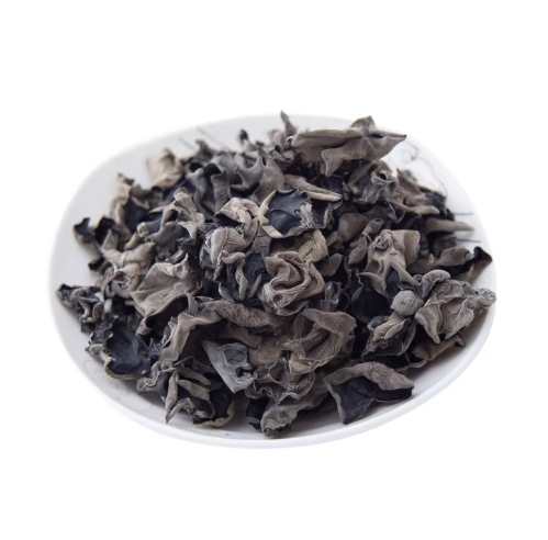 松耳營養 松耳營養