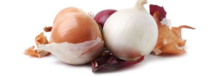 洋蔥鉀功效 洋蔥鉀功效