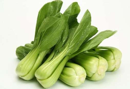 青江菜冷凍方法 青江菜冷凍方法