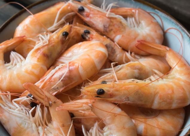 蝦子食用建議 蝦子食用建議