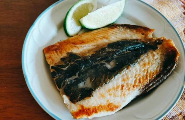 腎臟病飲食 腎臟病飲食