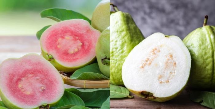 芭樂營養 芭樂營養