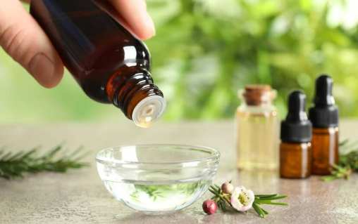 茶樹精油使用比例 茶樹精油使用比例