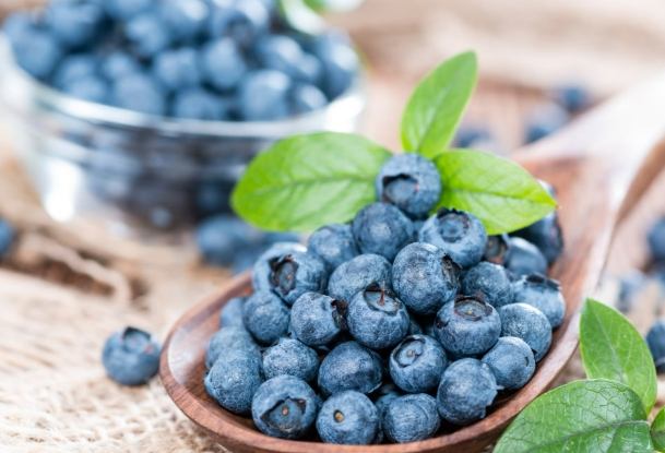 抗癌食物 抗癌食物