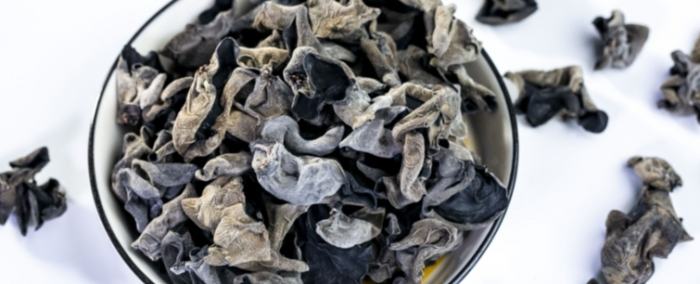 松耳營養 松耳營養