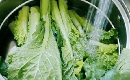 小白菜清洗方法 小白菜清洗方法