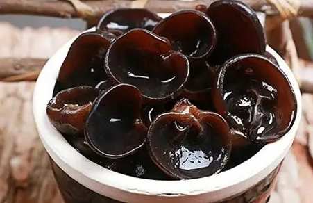 松耳食譜 松耳食譜