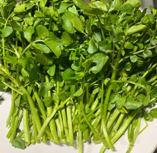 西洋菜健康益處 西洋菜健康益處