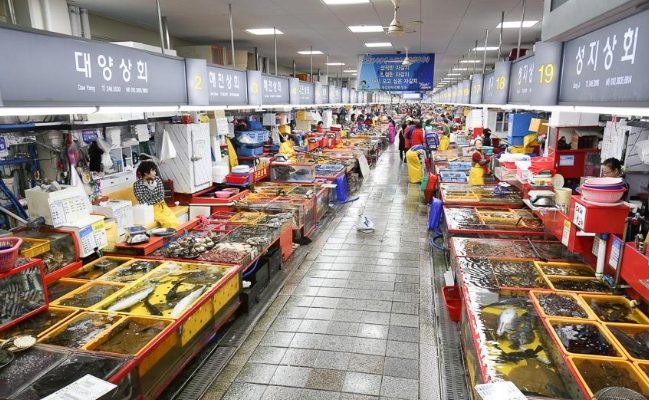 韓國釜山一日遊 韓國釜山一日遊