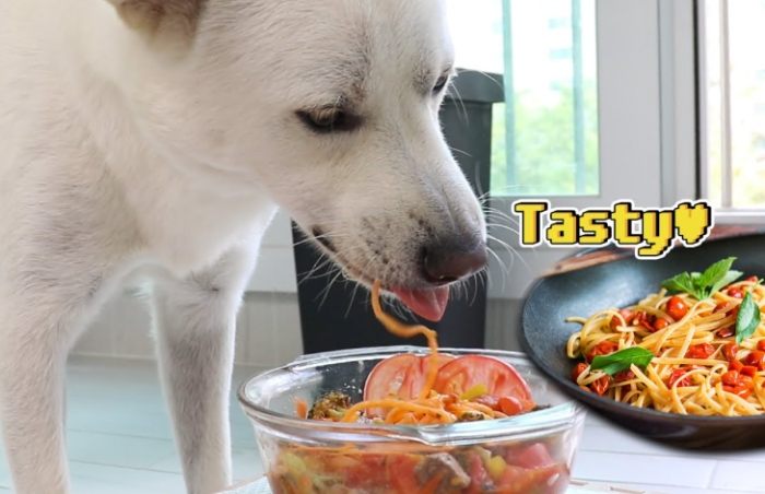 帶寵物吃義大利麵