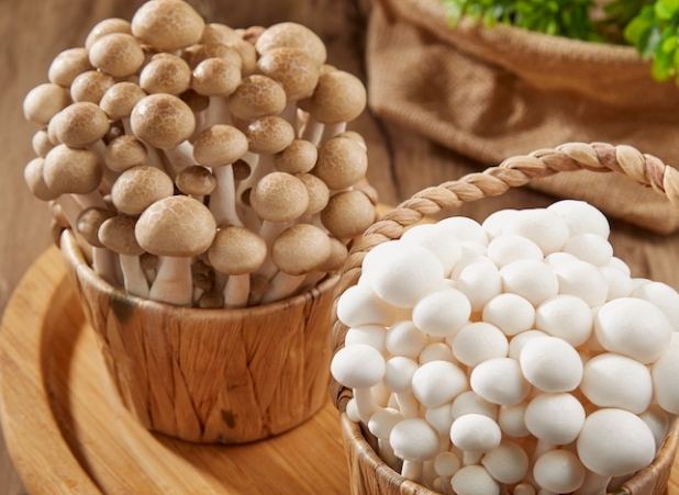 鴻禧菇冷凍方法 鴻禧菇冷凍方法