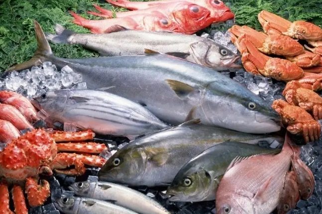 糖尿病吃魚注意事項 糖尿病吃魚注意事項