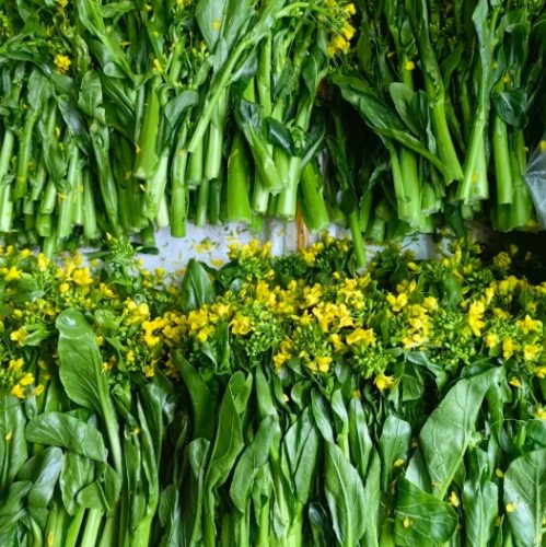 油菜心是什麼？完整解析營養價值、挑選技巧與食譜大全