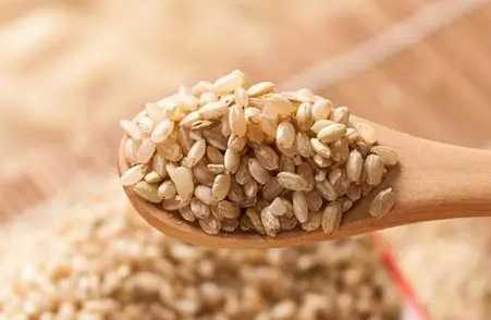 腸胃炎可以吃糙米嗎