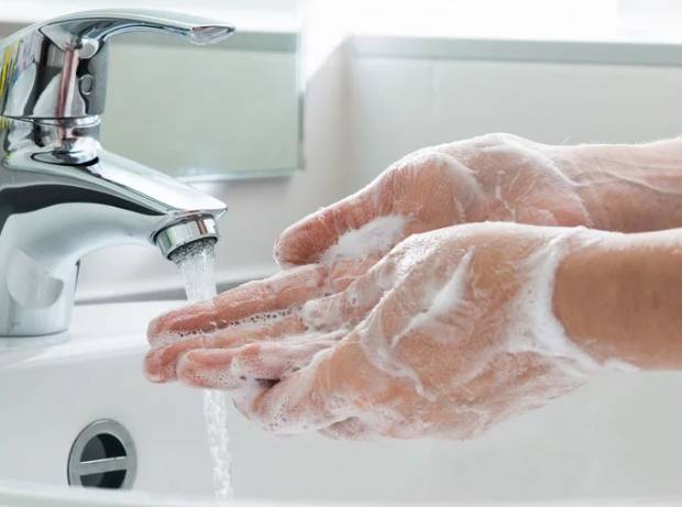 諾羅病毒傳播途徑 諾羅病毒傳播途徑