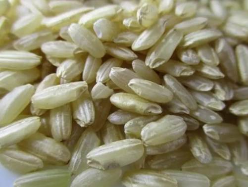 糙米白米gi比較 糙米白米gi比較