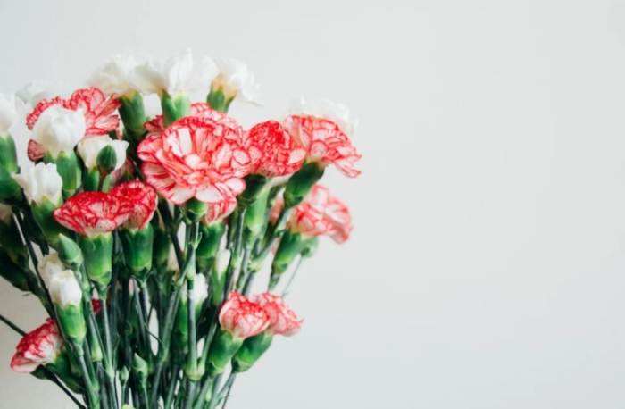 友誼花語 友誼花語