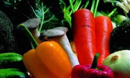 番茄紅蘿蔔一起吃 番茄紅蘿蔔一起吃