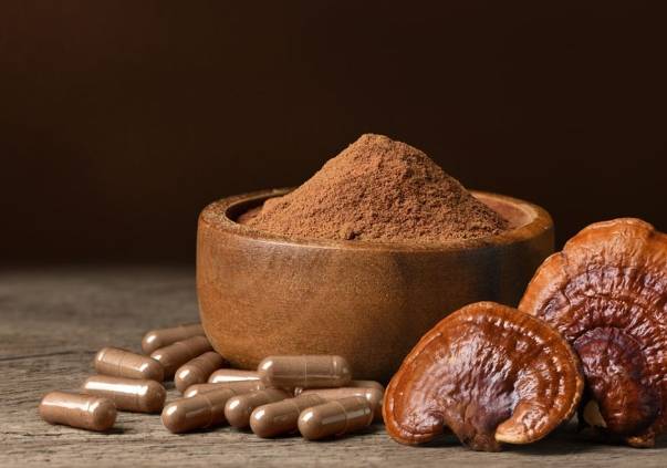 靈芝副作用 靈芝副作用