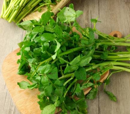 西洋菜營養價值 西洋菜營養價值