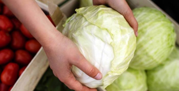 高麗菜冷凍保存 高麗菜冷凍保存