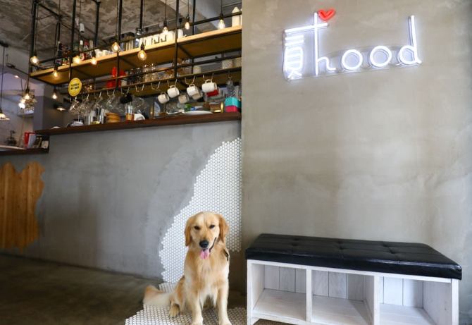 寵物友善餐廳中和 寵物友善餐廳中和