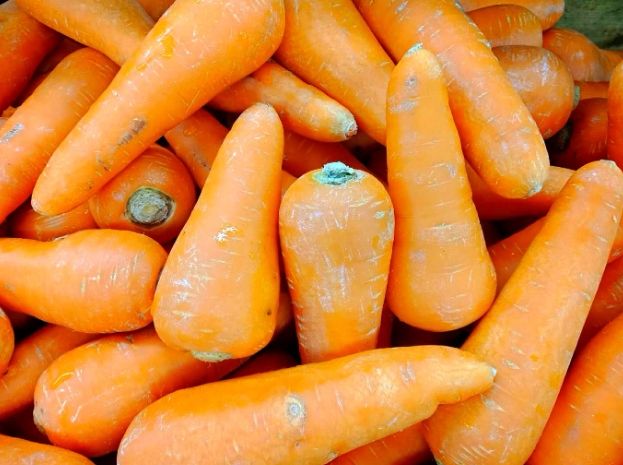 紅蘿蔔營養吸收 紅蘿蔔營養吸收