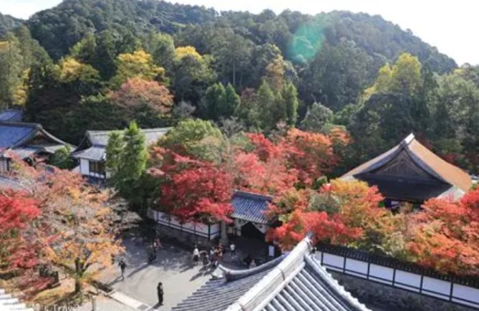 南禪寺周邊景點 南禪寺周邊景點