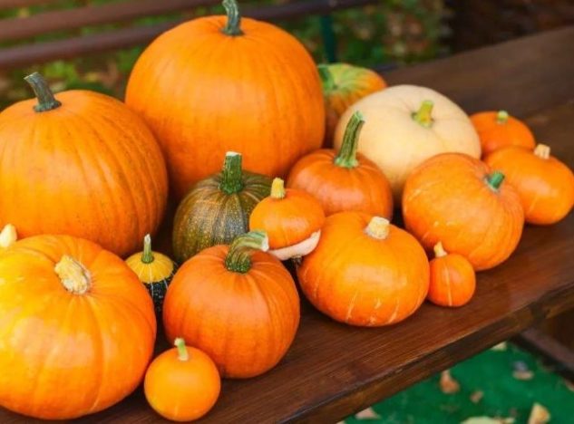 什麼人不能吃南瓜