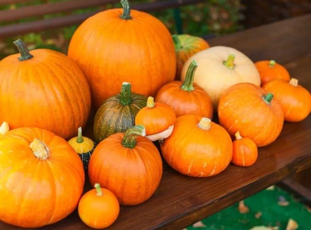 南瓜禁忌人群 南瓜禁忌人群