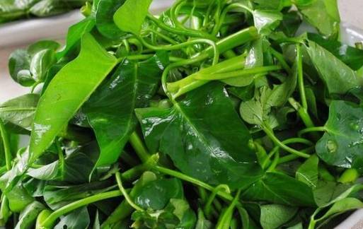 冷凍空心菜保存 冷凍空心菜保存