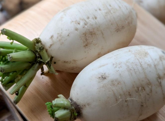 白蘿蔔纖維好處 白蘿蔔纖維好處