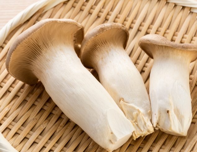 杏鮑菇食用禁忌 杏鮑菇食用禁忌