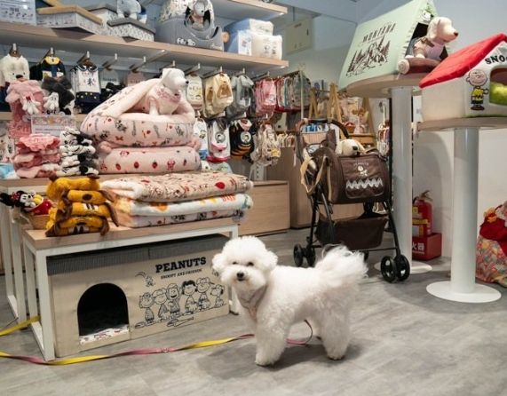 台北寵物友善商場