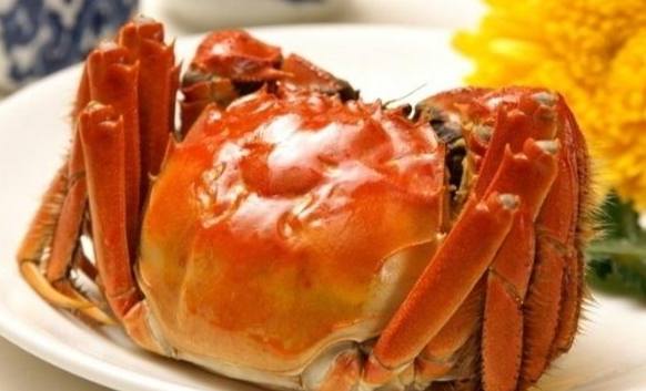 大閘蟹飲食注意事項