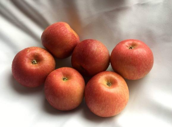 蘋果對氣喘的影響 蘋果對氣喘的影響