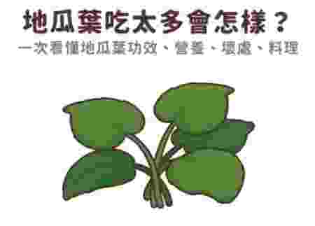 地瓜葉禁忌食物 地瓜葉禁忌食物