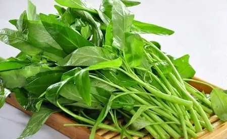 空心菜冷凍後口感 空心菜冷凍後口感