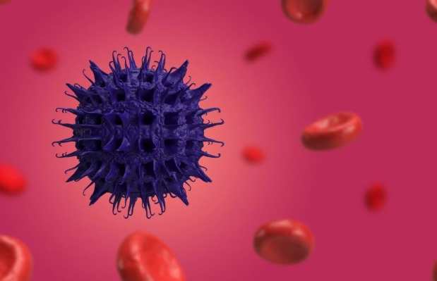 諾羅病毒傳播途徑 諾羅病毒傳播途徑