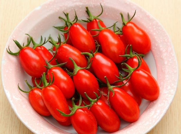 橘色番茄 紅色番茄 比較 橘色番茄 紅色番茄 比較