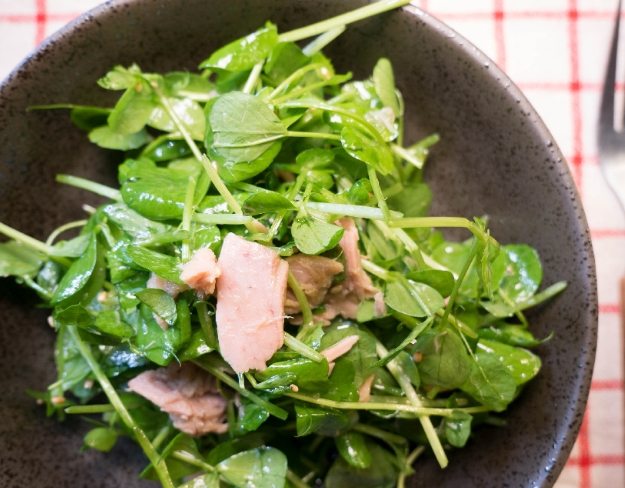 健康沙拉做法 健康沙拉做法