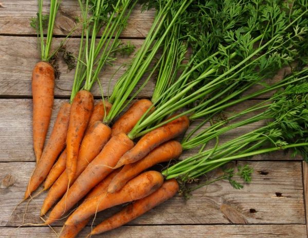 紅蘿蔔禁忌 紅蘿蔔禁忌