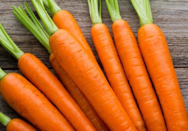 紅蘿蔔好消化嗎