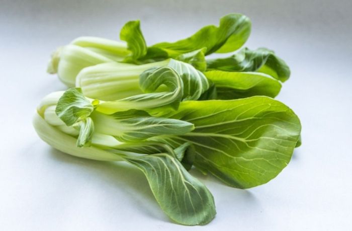 青江菜食物相克 青江菜食物相克