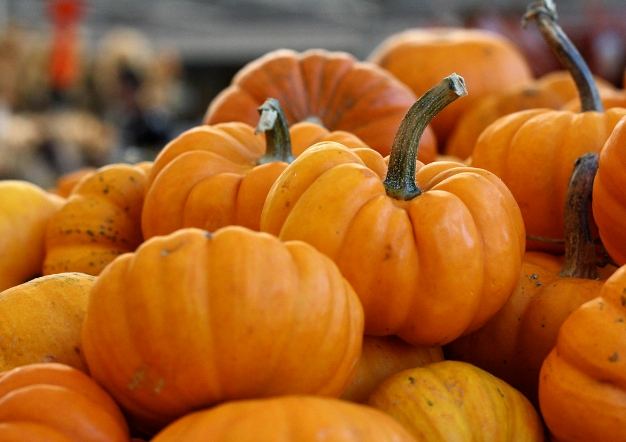 南瓜飲食禁忌 南瓜飲食禁忌