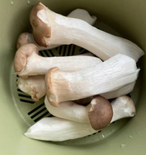 杏鮑菇保存時間 杏鮑菇保存時間